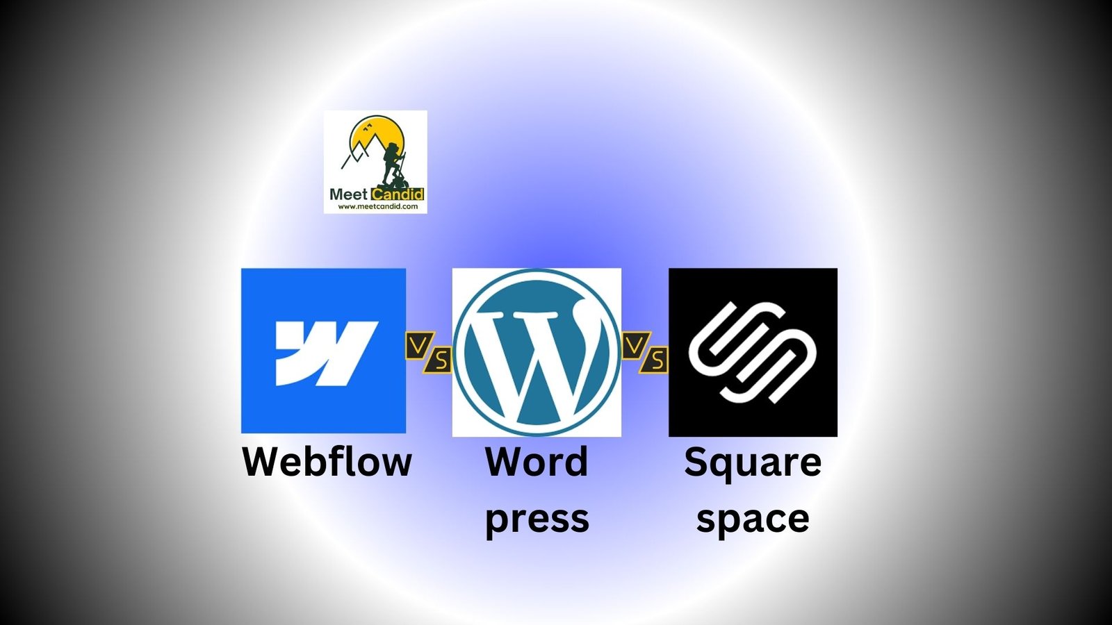 webflow vs wordpress vs squarespace