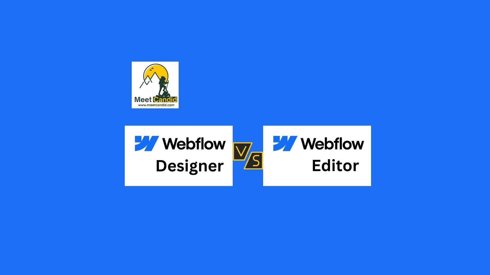 designer vs editor